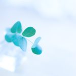 子育て専業ママのイライラ解消！育児のストレスを撃退する７つの方法