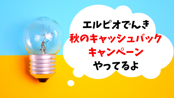 エルピオでんき キャンペーン